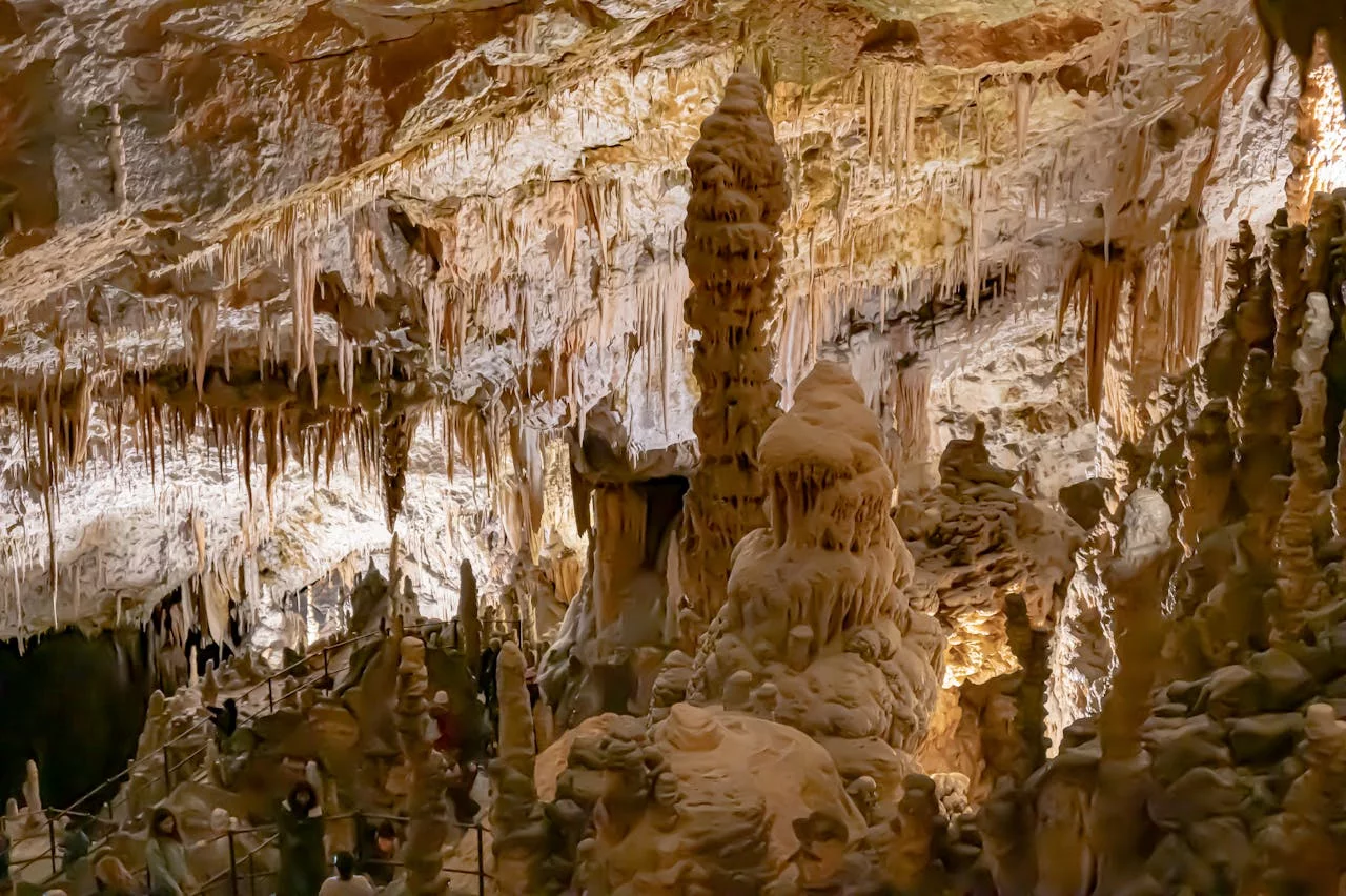 Grottes de Postojna et château de Predjama