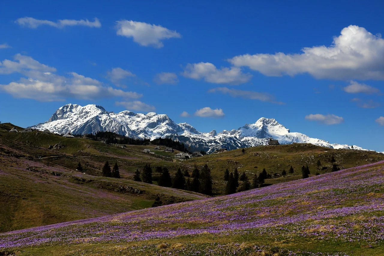 Vallée de Logar et route panoramique de Solčava