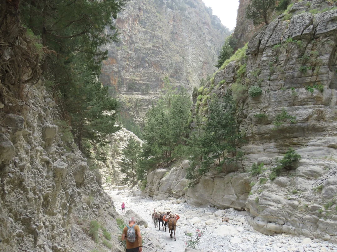 Randonnée des gorges de Samaria
