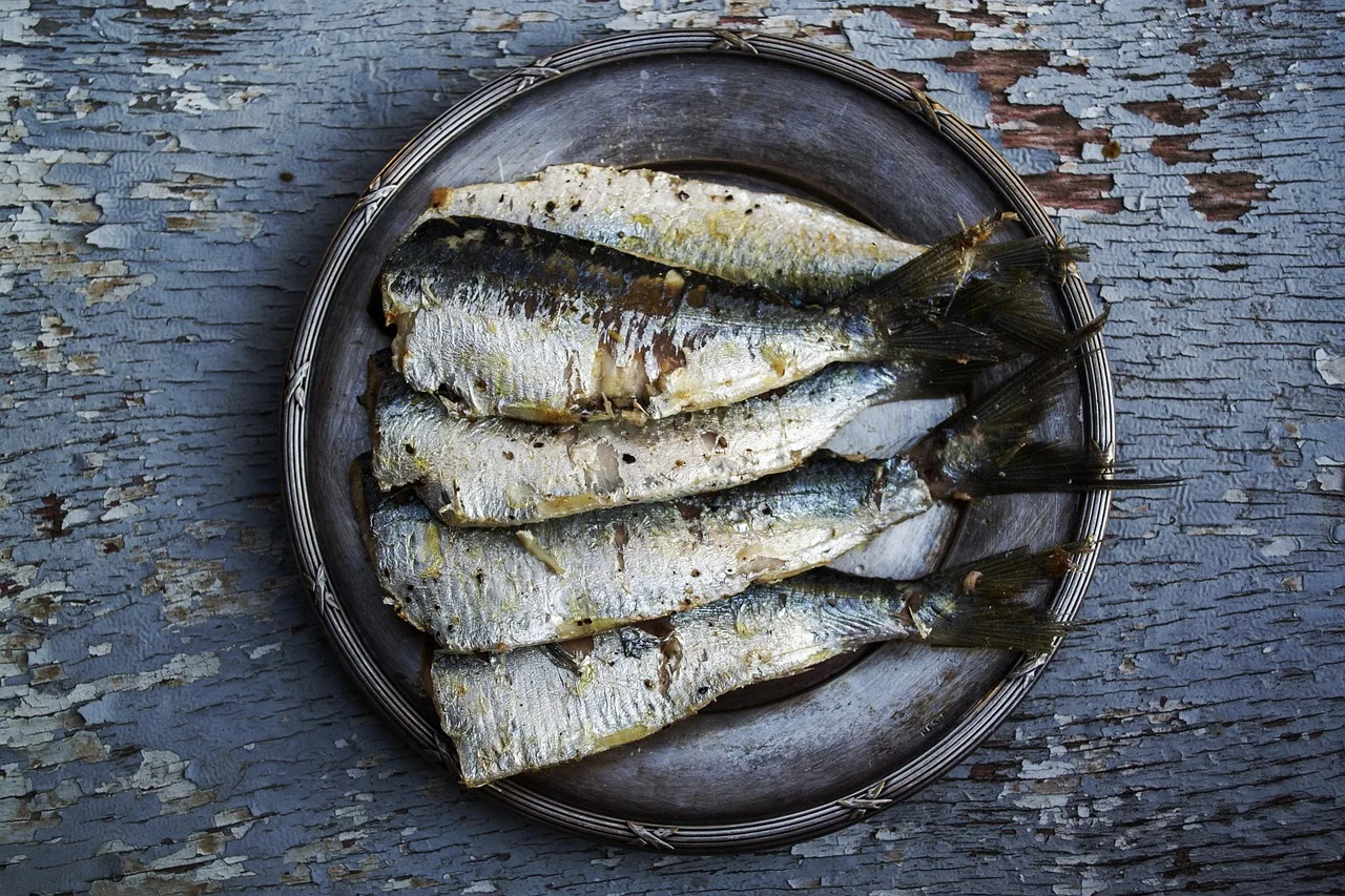 Déjeuner de poisson frais au port