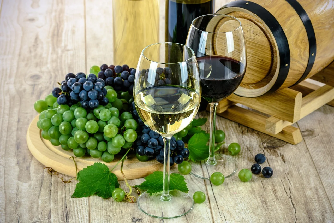 Dégustation de vins à Virpazar et Plantaže