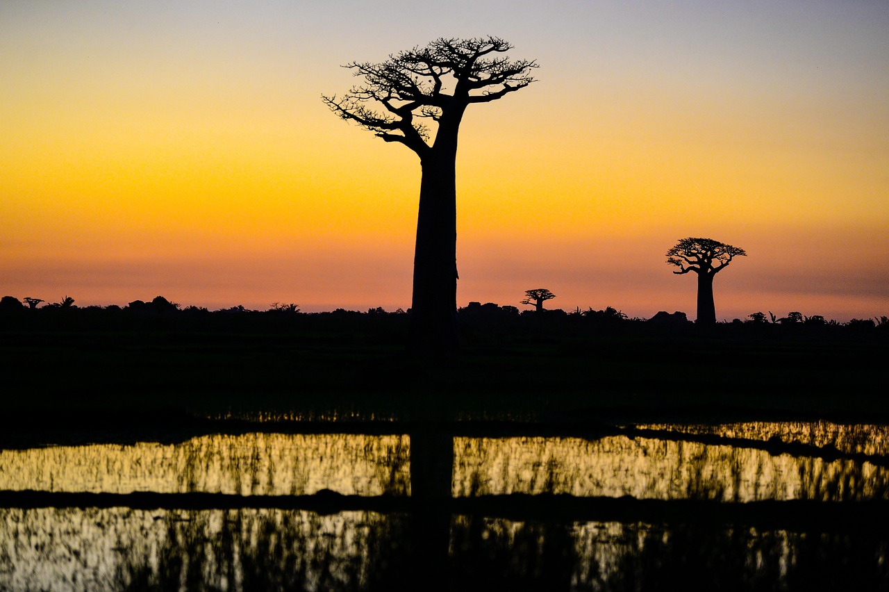 Madagascar