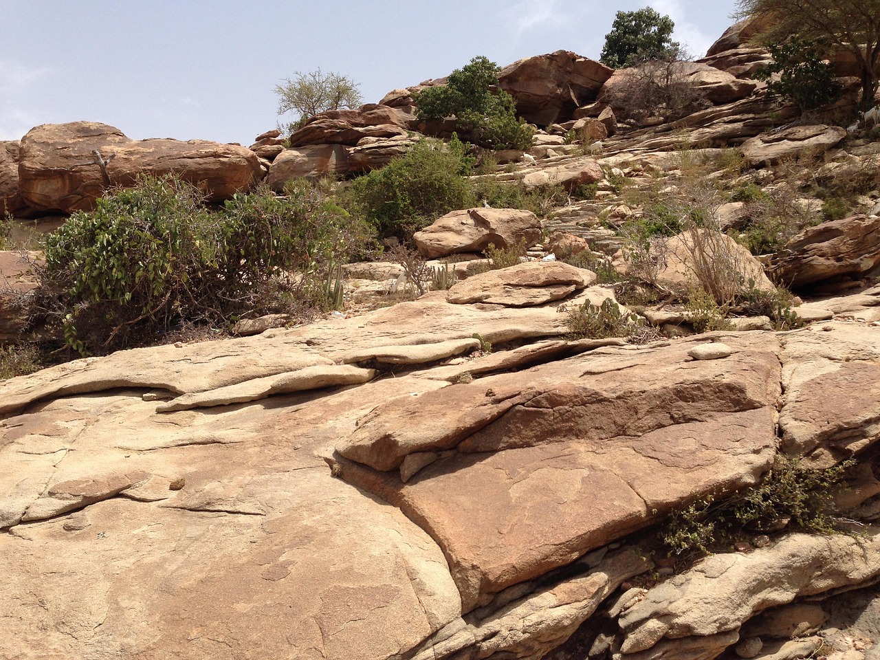Somalie