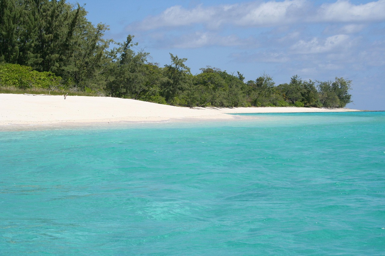 Timor oriental