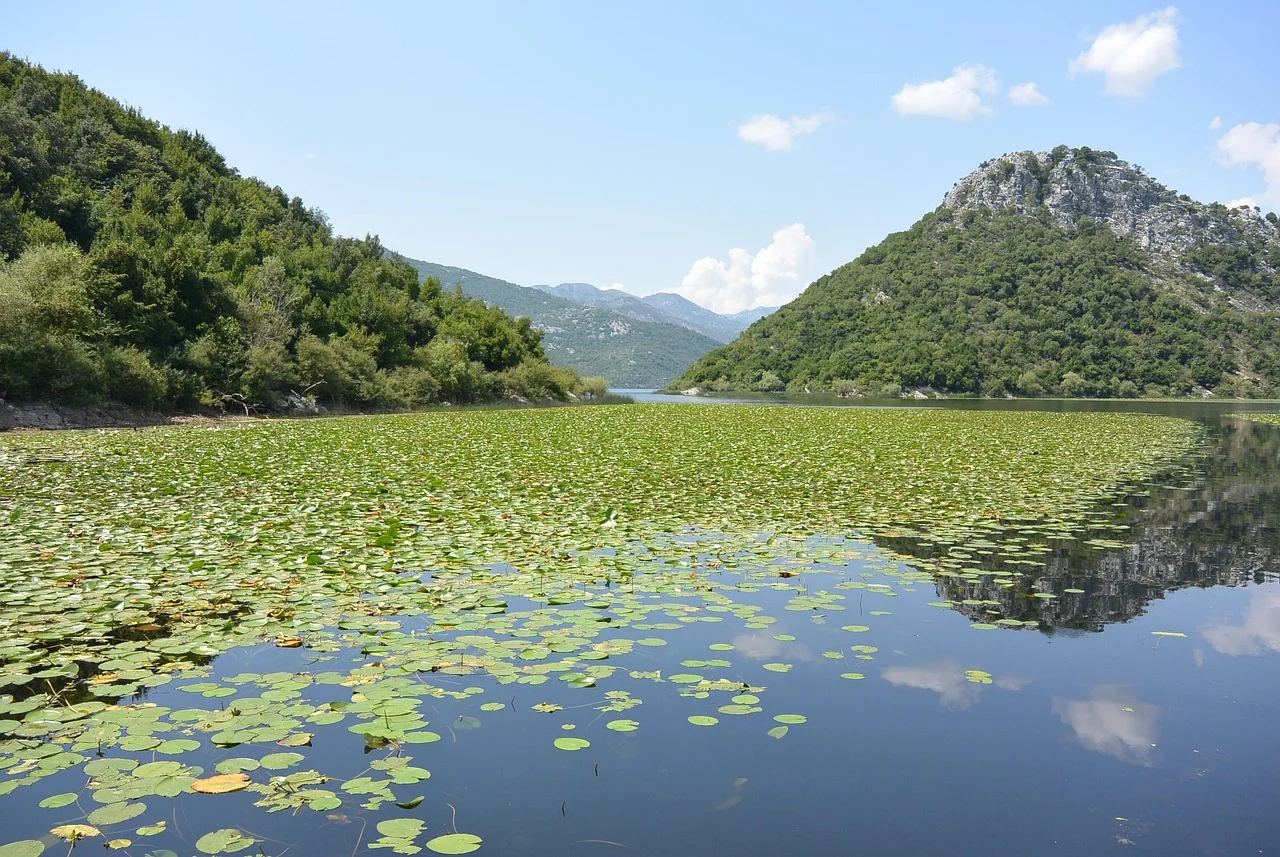 Lac de Skadar