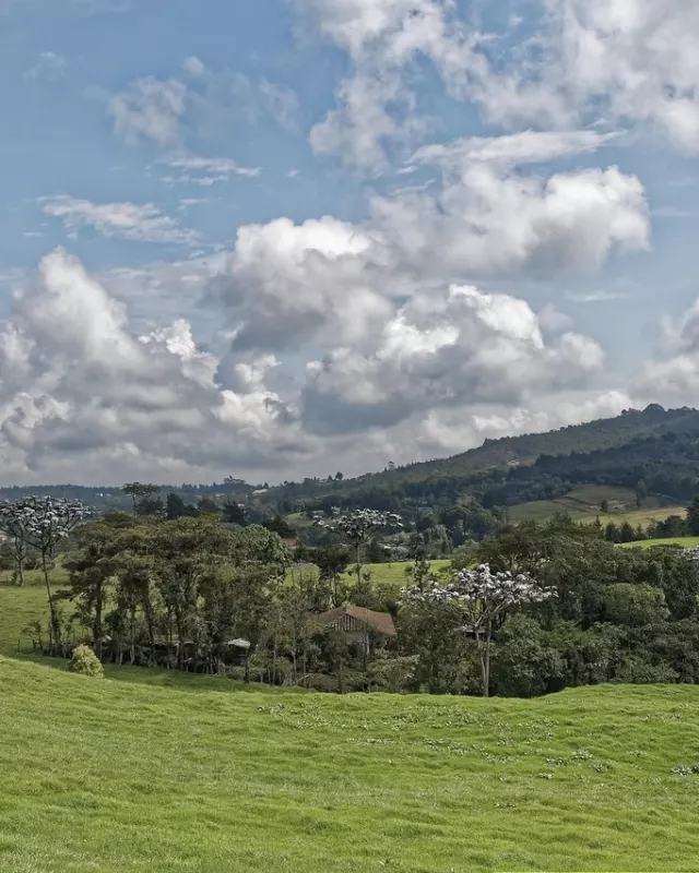 Colombie