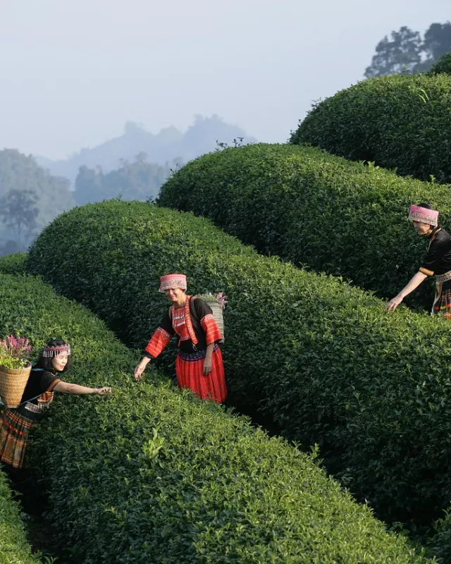 Vietnam
