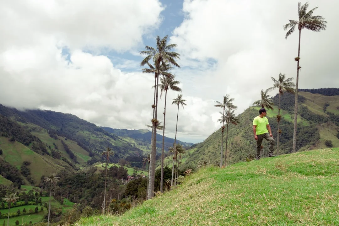 Randonnée de la vallée de Cocora