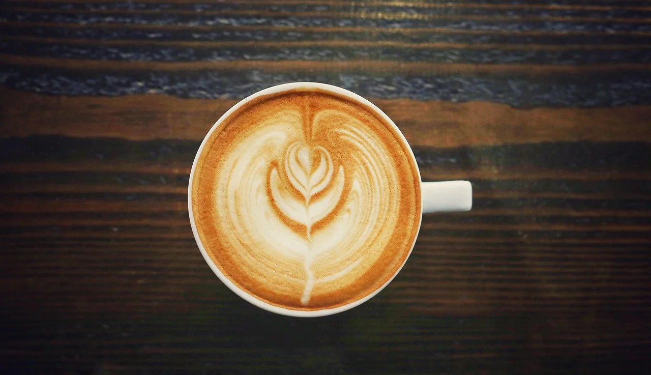 Tour de finca et dégustation de café