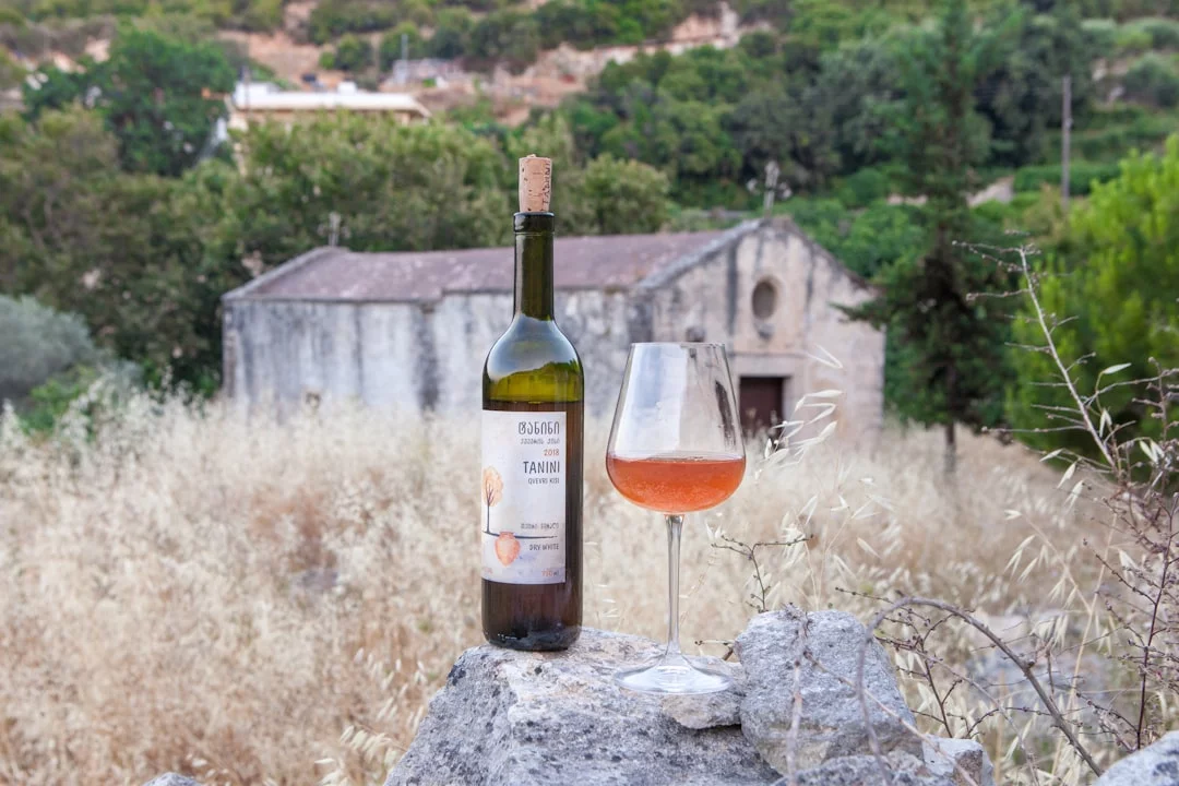 Qvevri Wine Tasting in Kakheti
