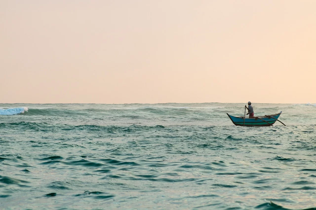 Whale watching at Mirissa