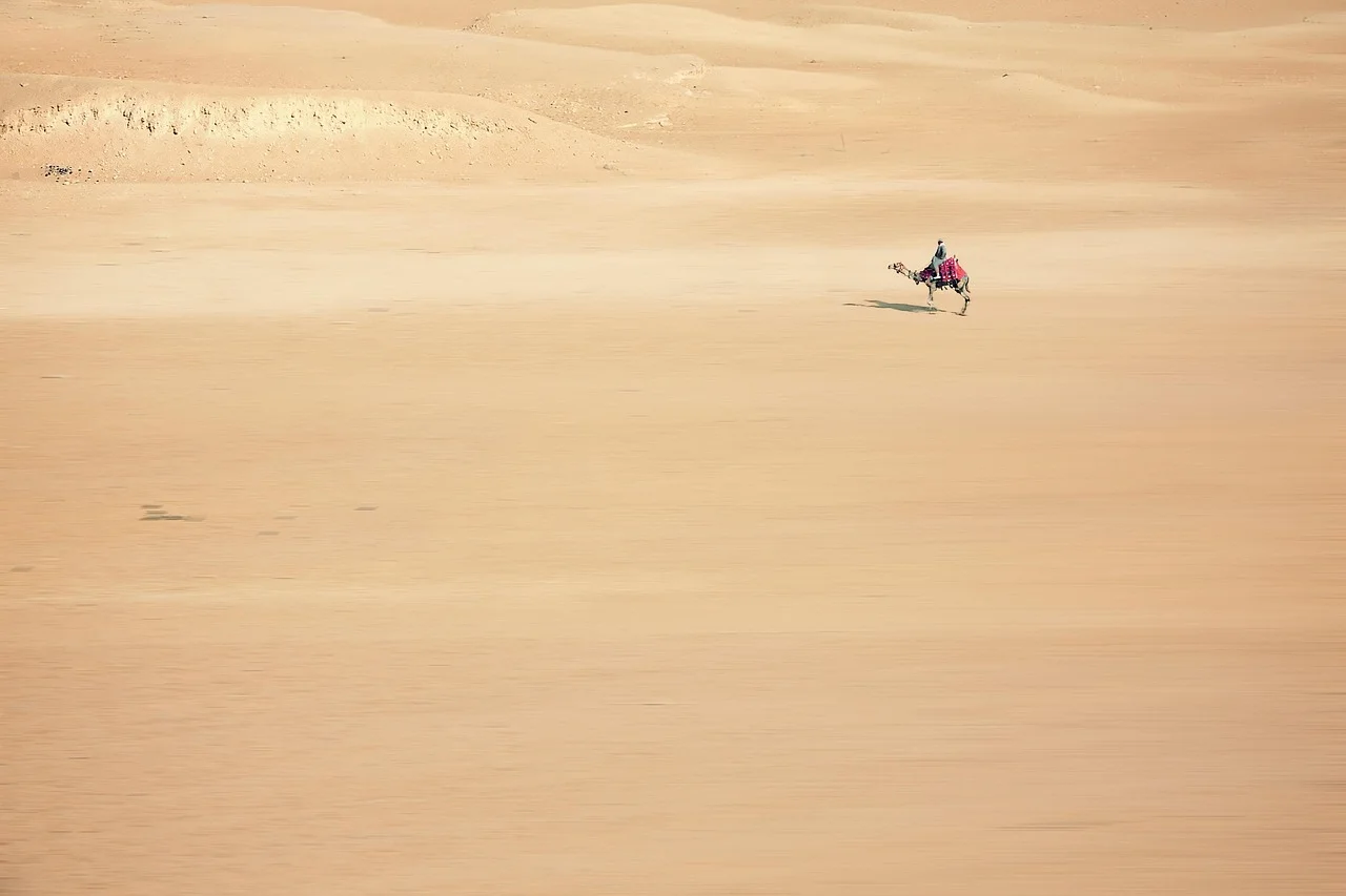 Désert de Wahiba Sands (Sharqiyah Sands)