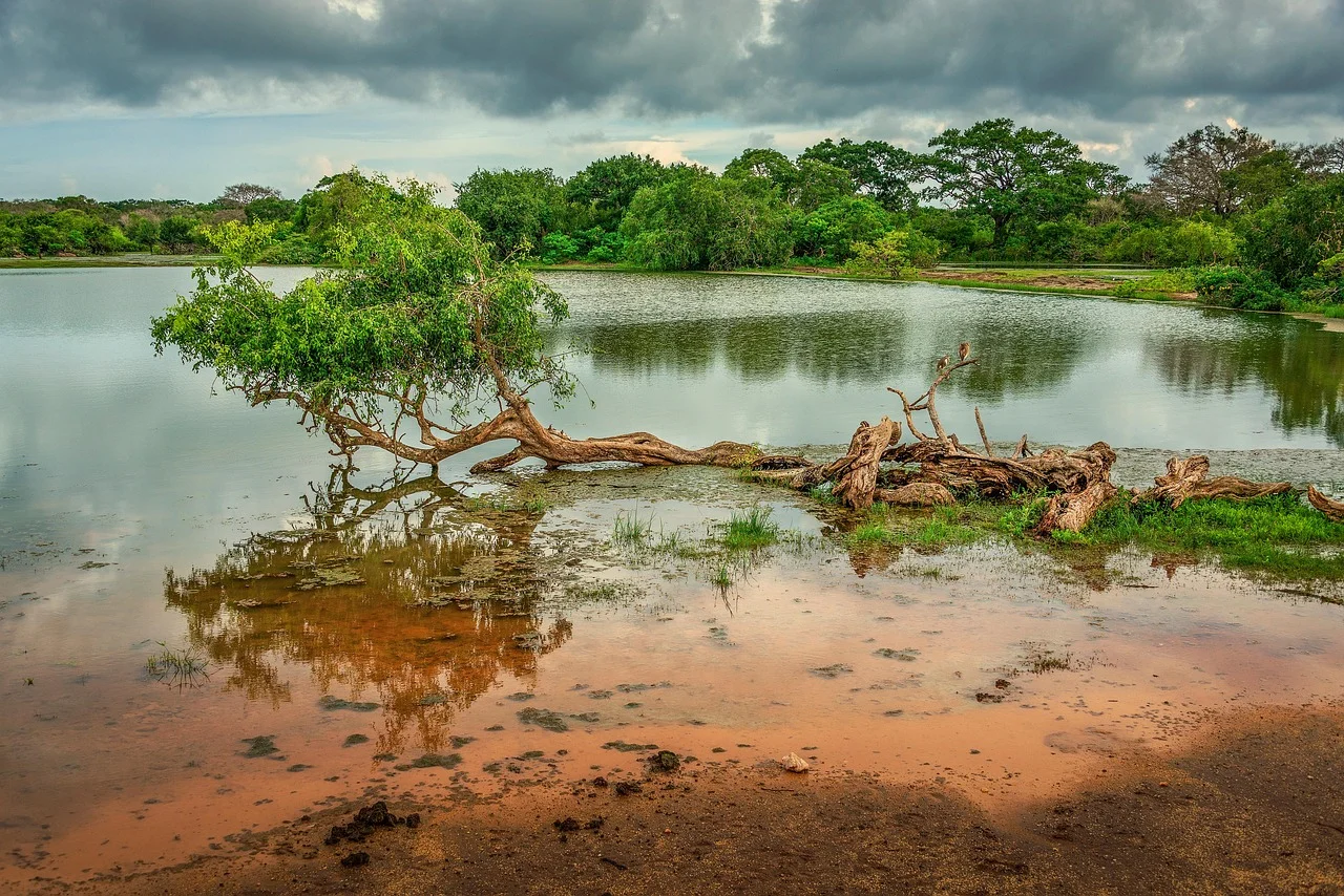 Parc national de Yala