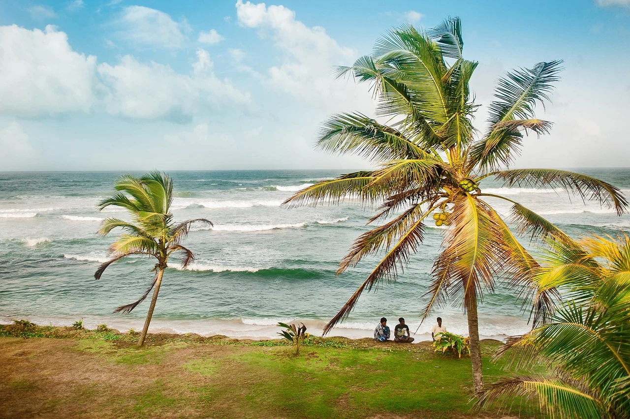Mirissa et la côte sud