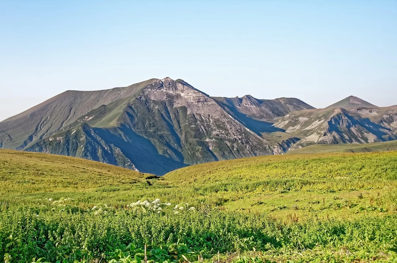 Driving in Georgia: border insurance, mountain roads and police explained