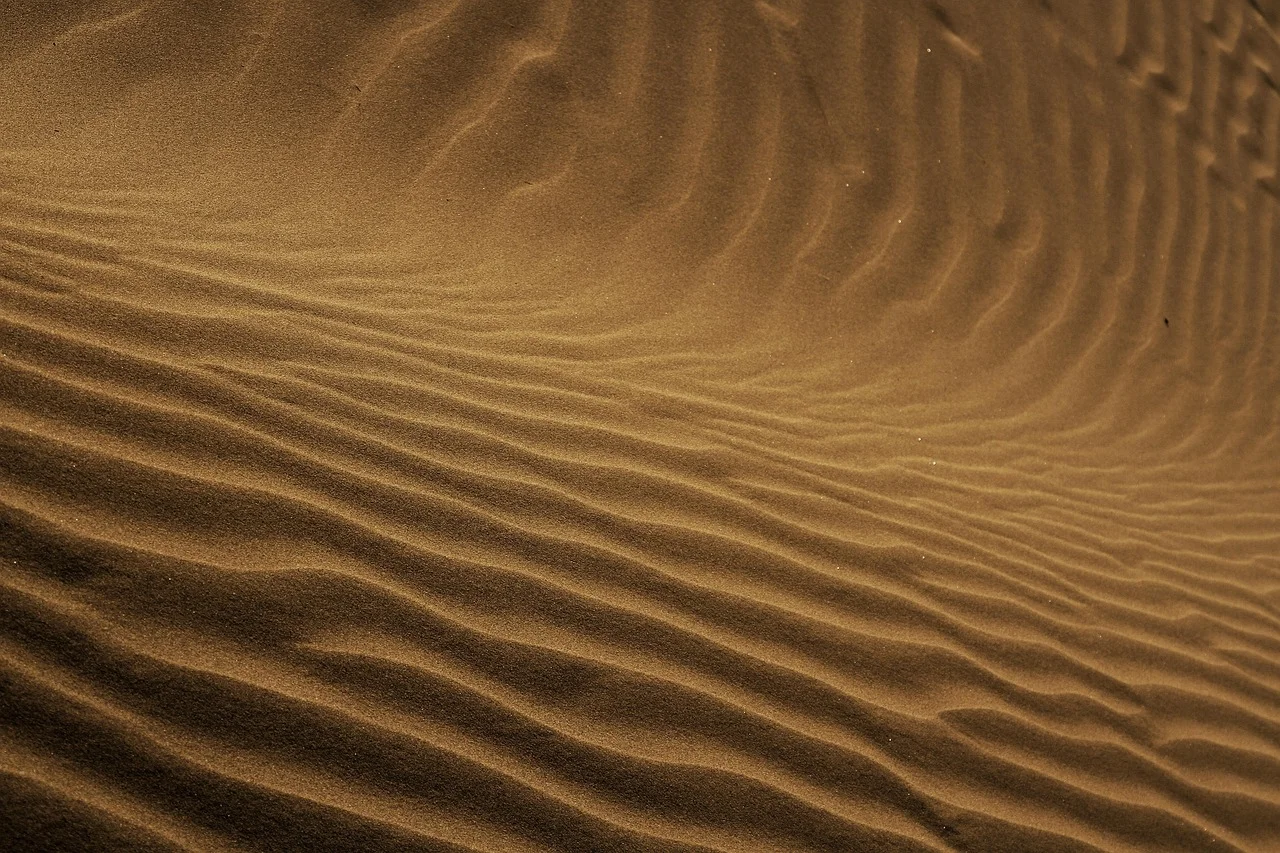 Toits et tours à vent (badgirs) de la vieille ville de Yazd