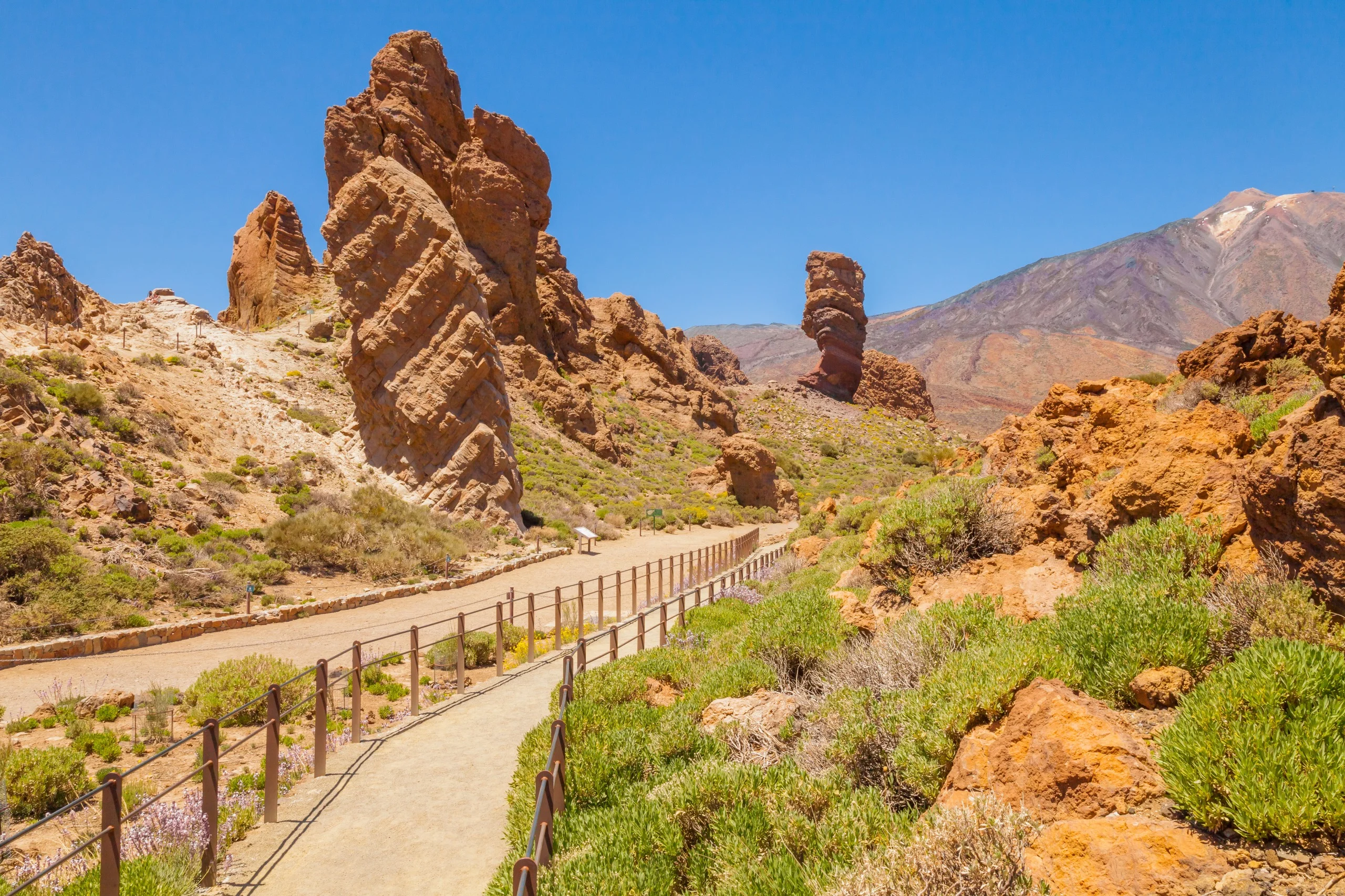 Parc national du Teide et Pico del Teide