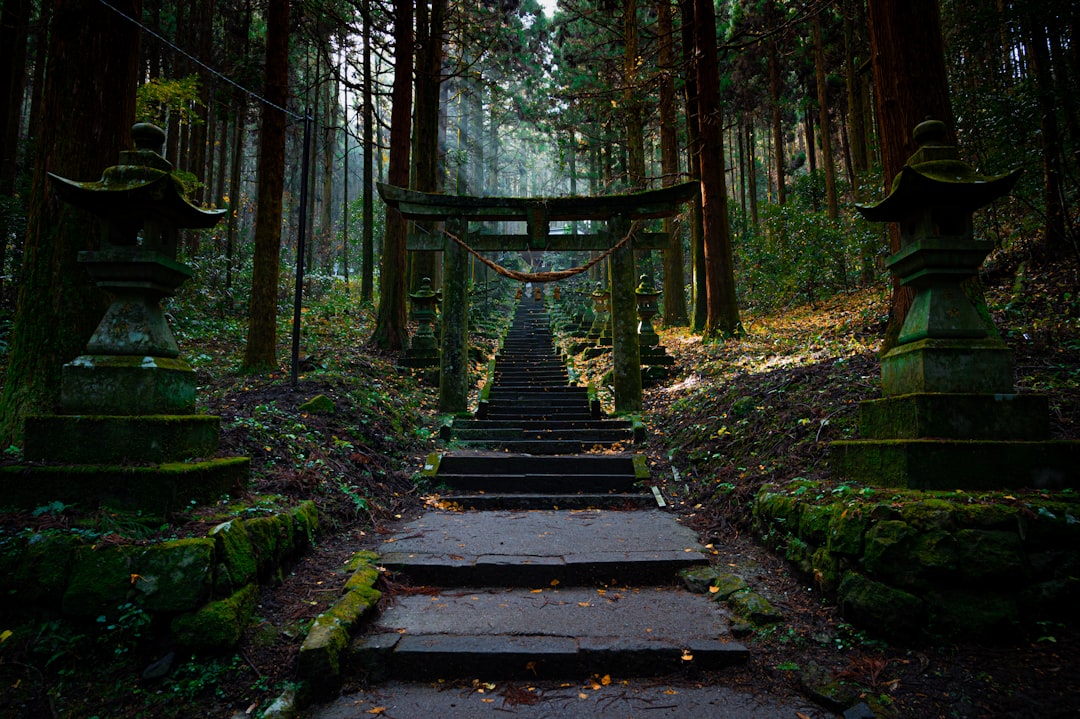Monter les torii du Fushimi Inari au petit matin