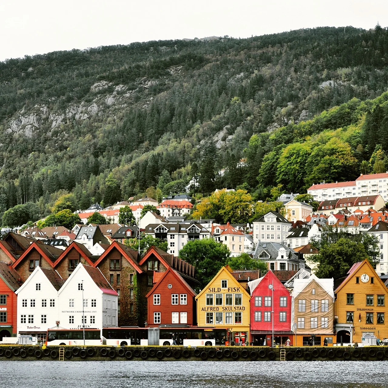 Bryggen, Bergen