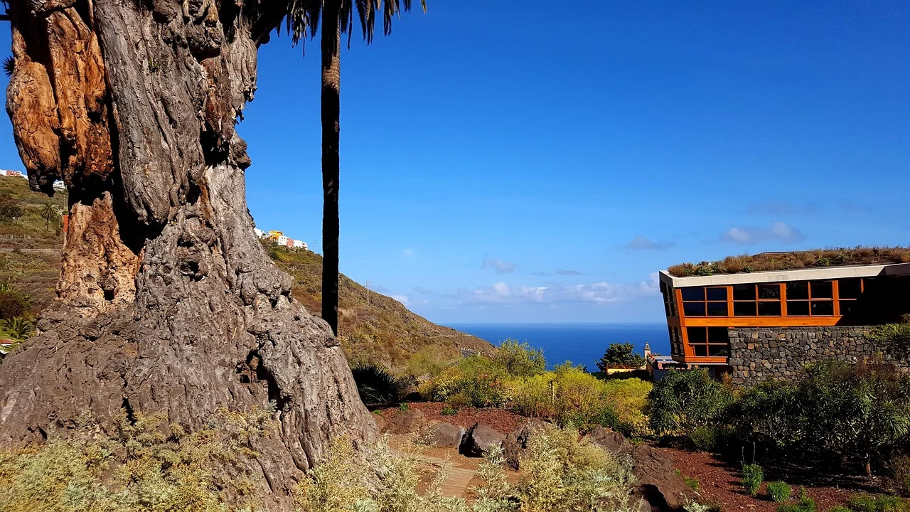 Boucle nord coloniale : La Orotava, Icod de los Vinos et Garachico