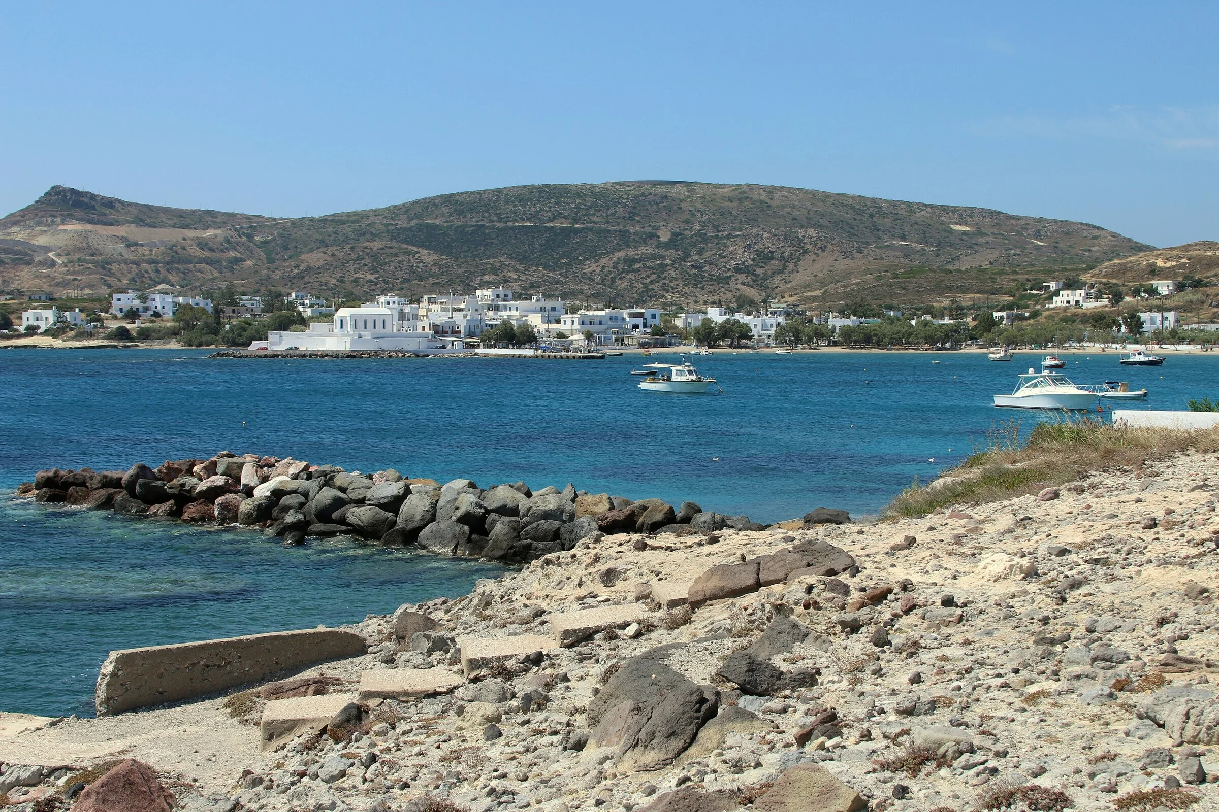 Pollonia