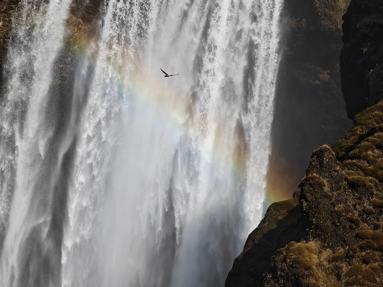 Skógafoss