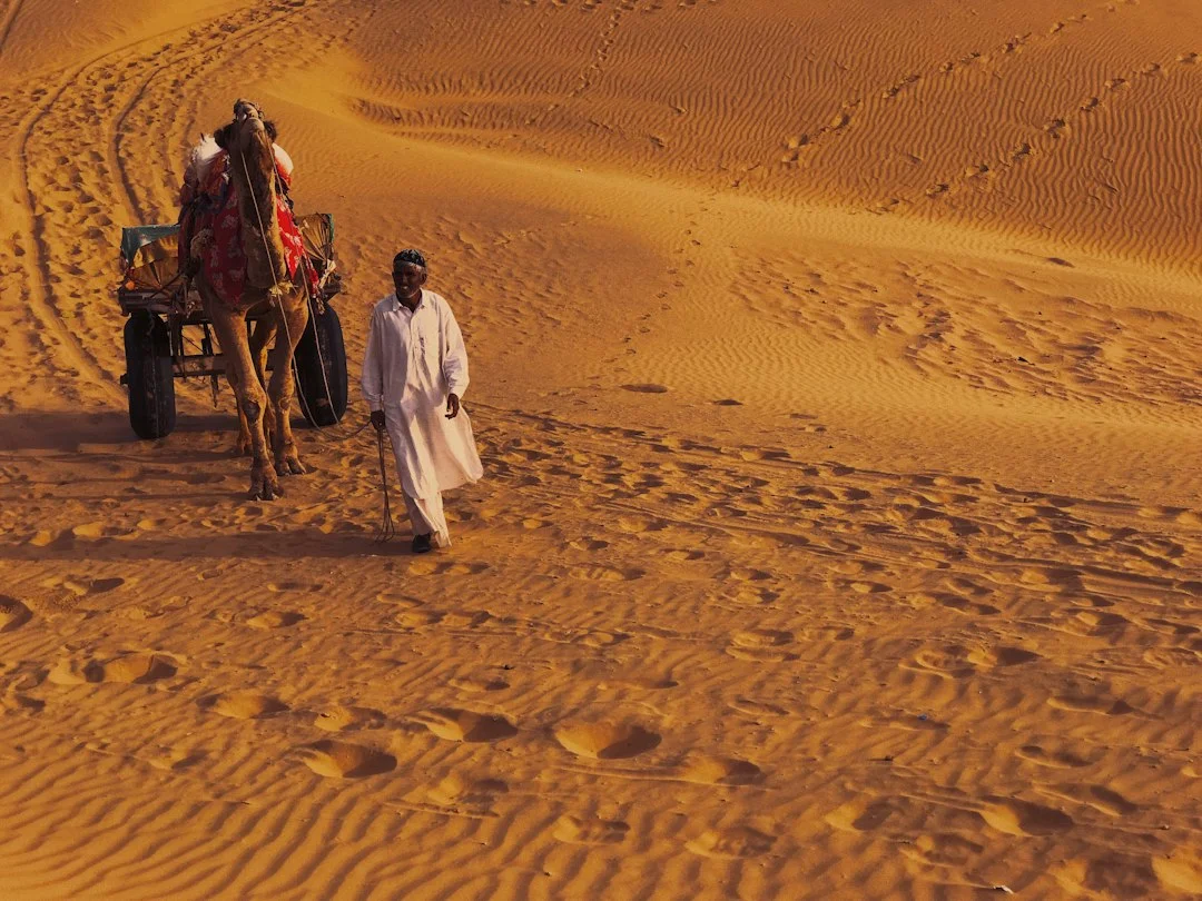 Nuit dans le désert du Thar à dos de chameau