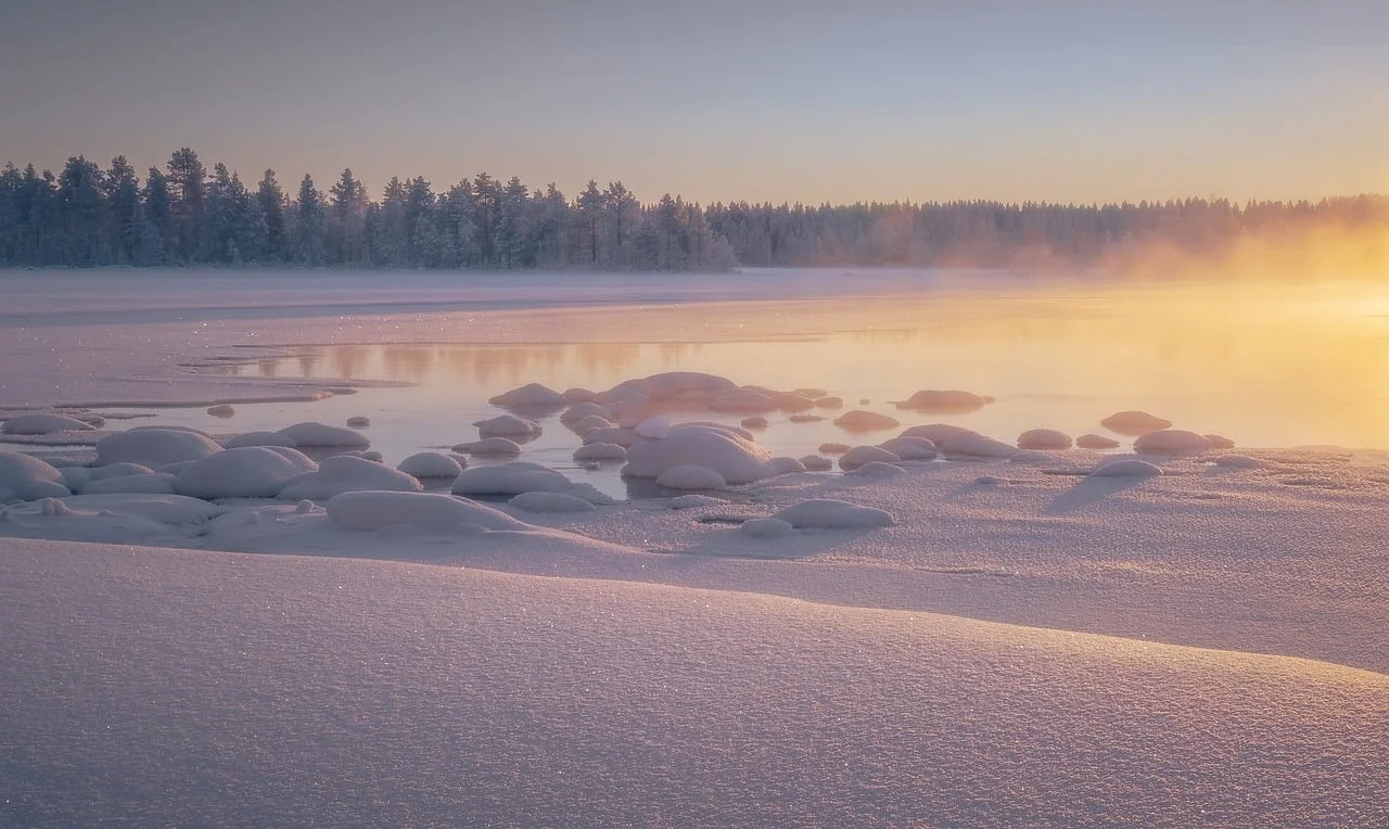 Lac gelé bordé de forêt de conifères en Laponie finlandaise, neige rose et dorée sous le soleil rasant de décembre