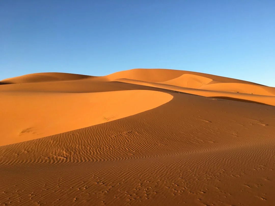 Dunes orangées de l'erg Chebbi à Merzouga sous un ciel bleu sans nuage, au Maroc