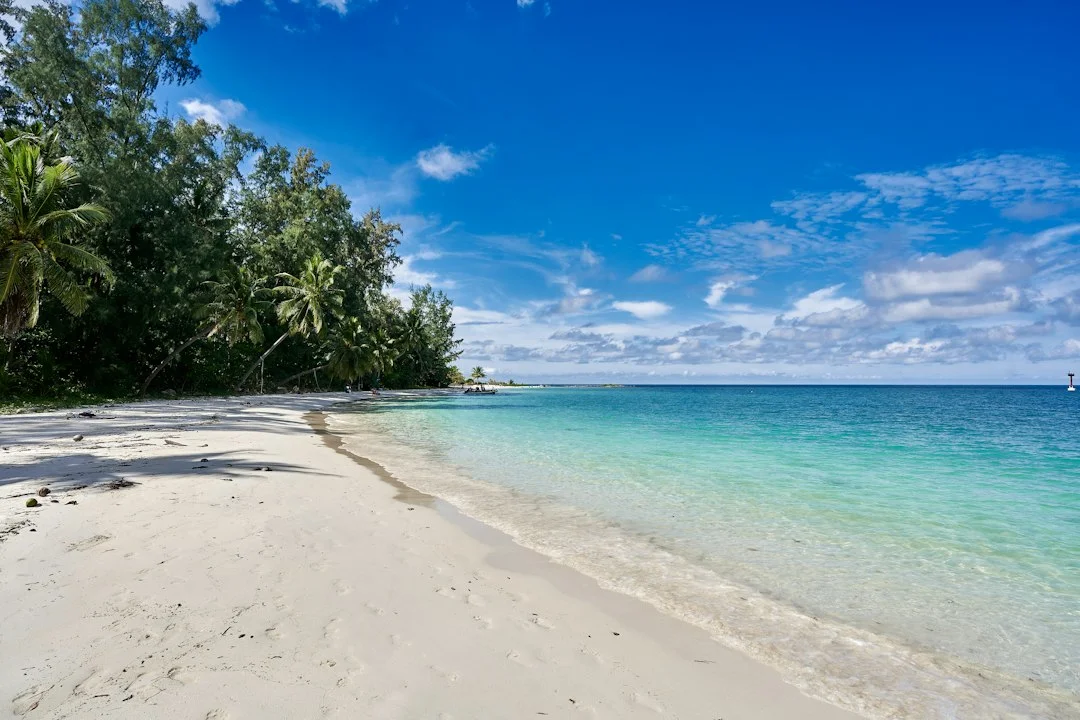 Plage de sable blanc bordée de cocotiers, eau turquoise et ciel bleu sous le soleil