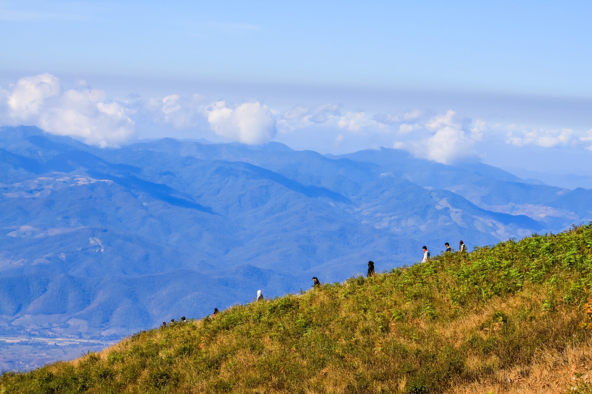 Excursion au Doi Inthanon et randonnée de Kew Mae Pan